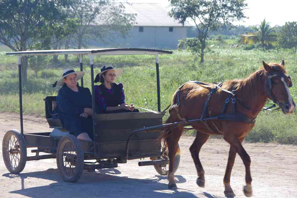 Village mennonite près de Bacalar, le 25 janvier 2016