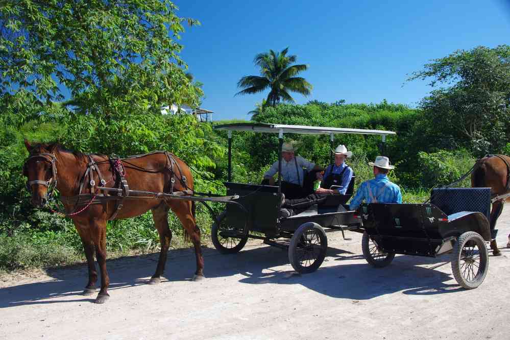 Village mennonite près de Bacalar, le 25 janvier 2016