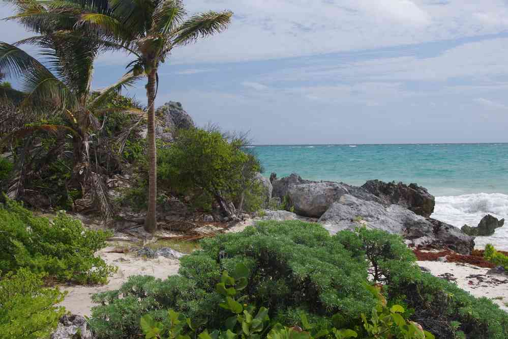 Tulum, le 26 janvier 2016