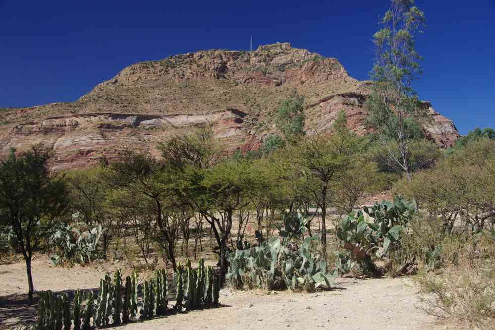 Trek dans le Guéralta, le 11 janvier 2017