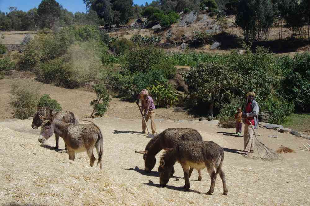 Trek dans le Guéralta, le 11 janvier 2017