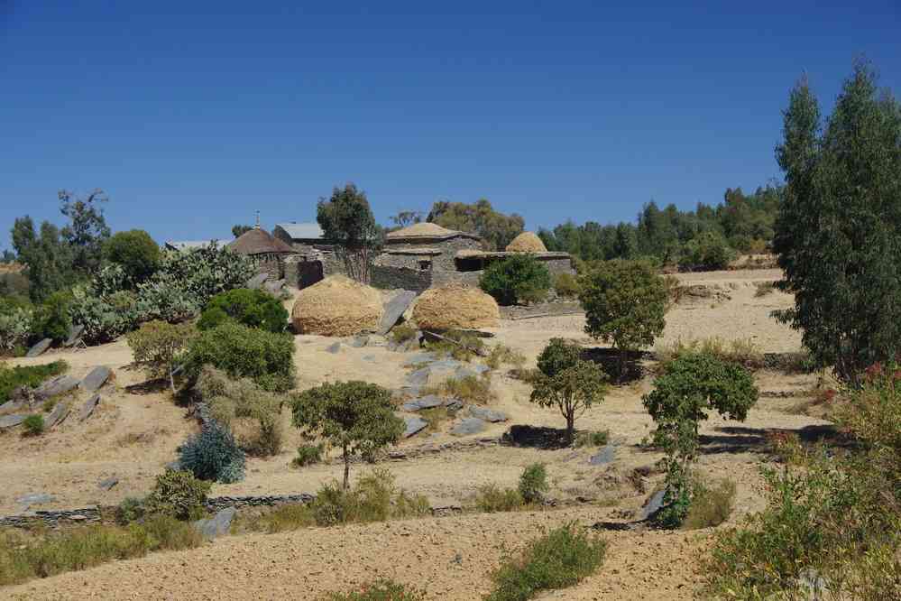 Trek dans le Guéralta, le 11 janvier 2017