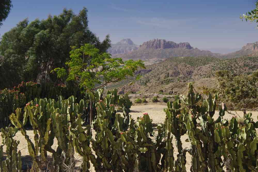 Trek dans le Guéralta, le 11 janvier 2017