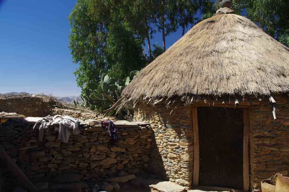 Trek dans le Guéralta. Nous sommes reçus dans une ferme pour déguster le café traditionnel, le 11 janvier 2017