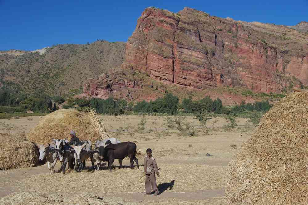 Trek dans le Guéralta, le 11 janvier 2017