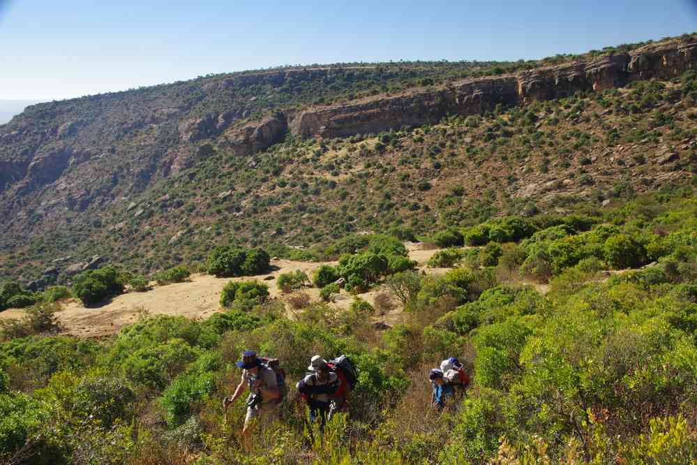 Trek dans le Guéralta. Progression difficile dans les fourrés, le 12 janvier 2017