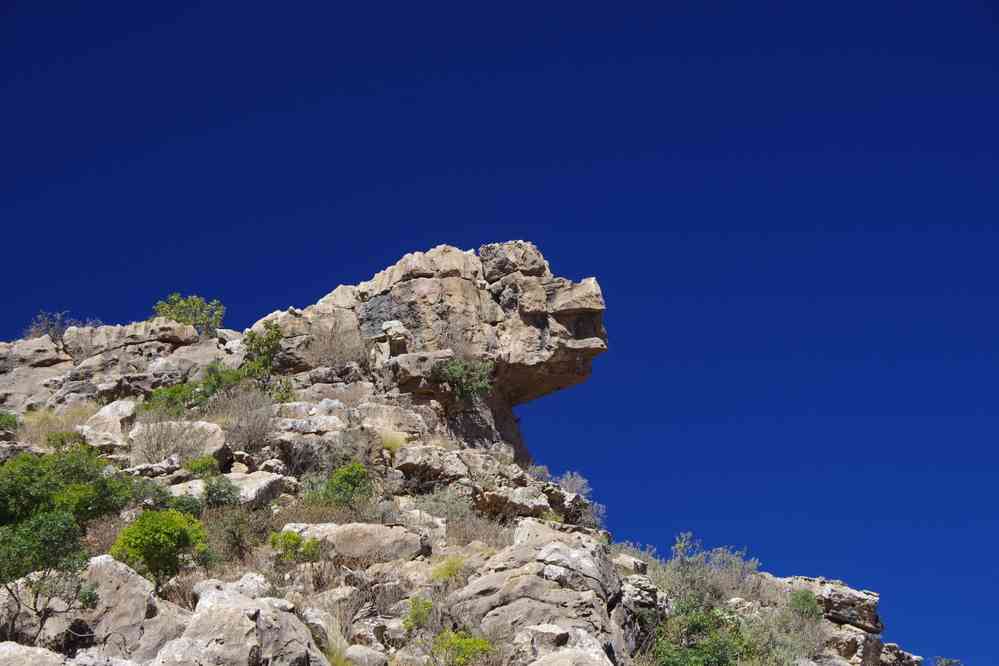 Trek dans le Guéralta, le 12 janvier 2017