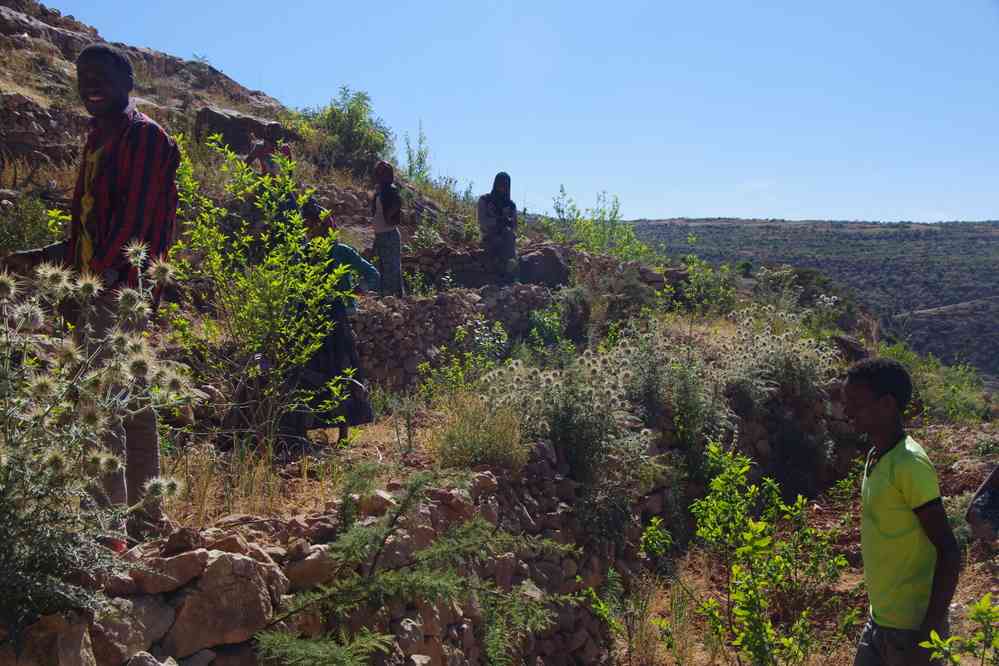 Trek dans le Guéralta, le 12 janvier 2017