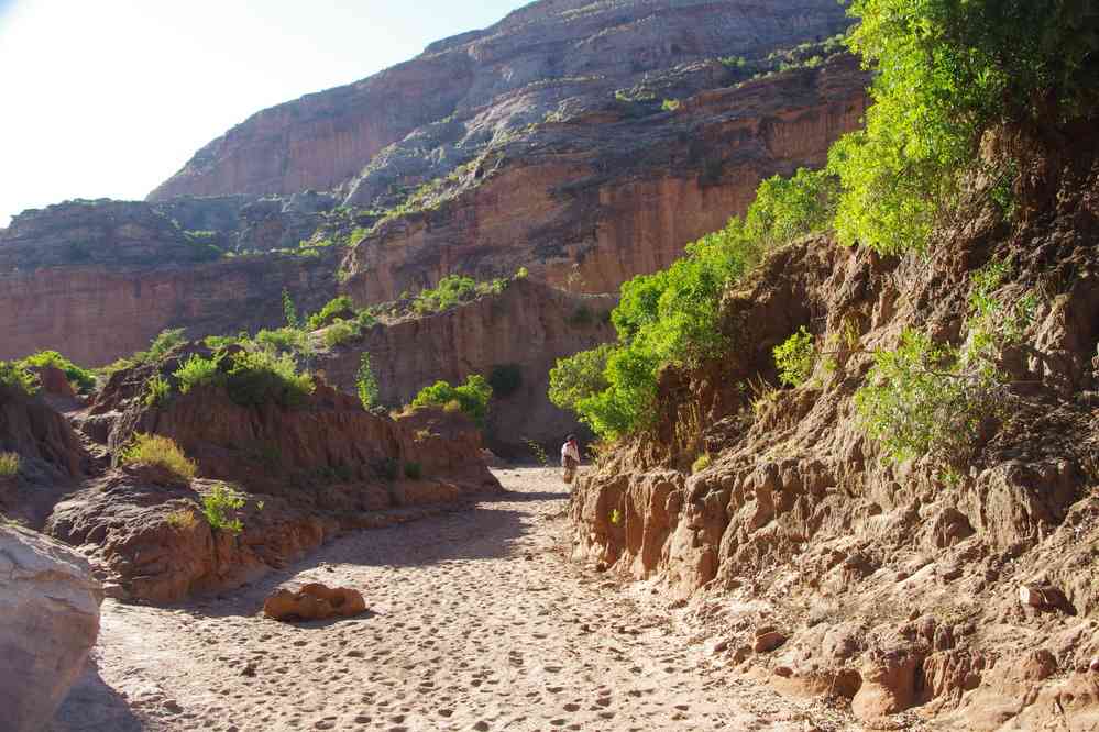 Trek dans le Guéralta, le 12 janvier 2017