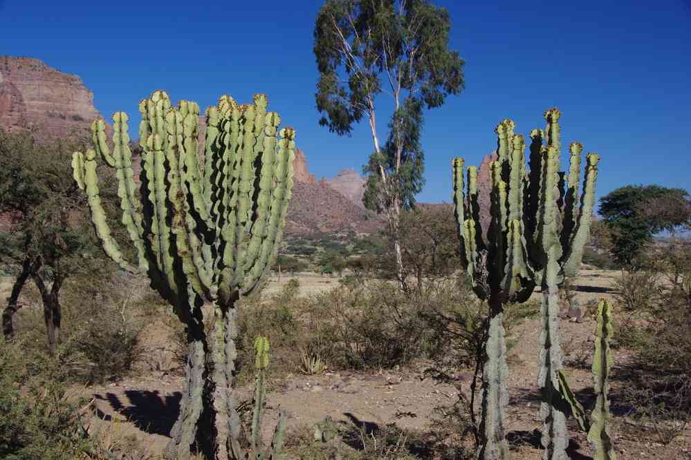 Trek dans le Guéralta, le 13 janvier 2017