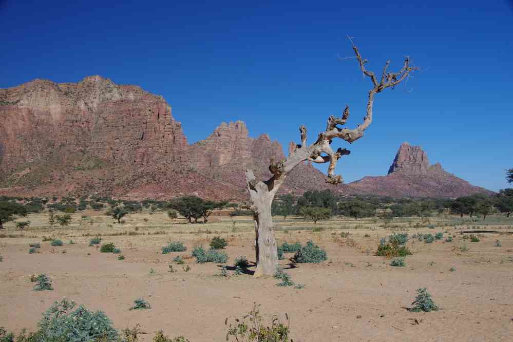 Trek dans le Guéralta, le 13 janvier 2017