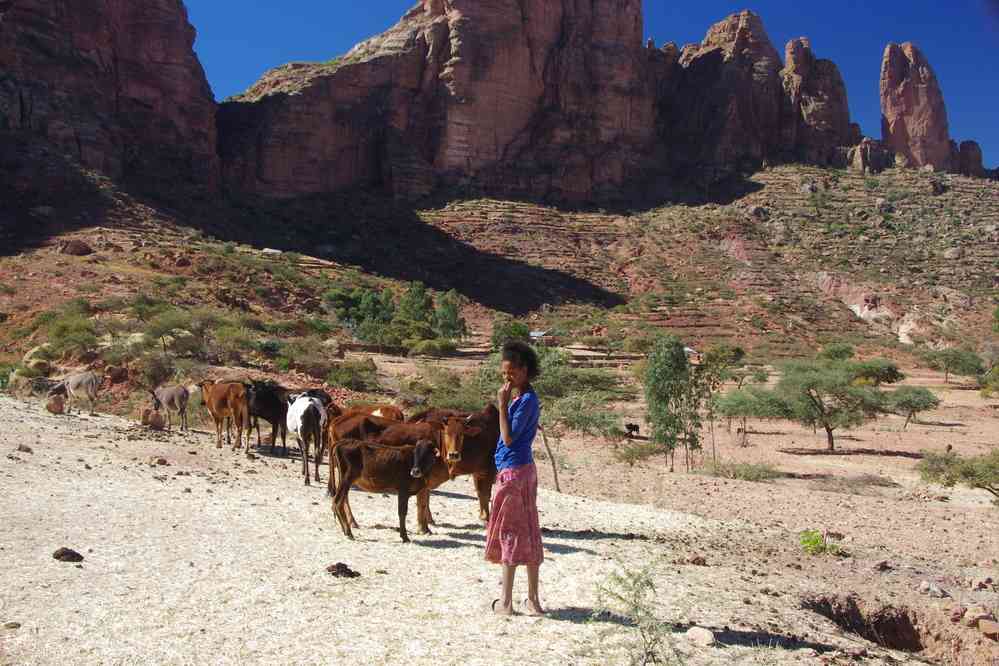 Trek dans le Guéralta, le 13 janvier 2017