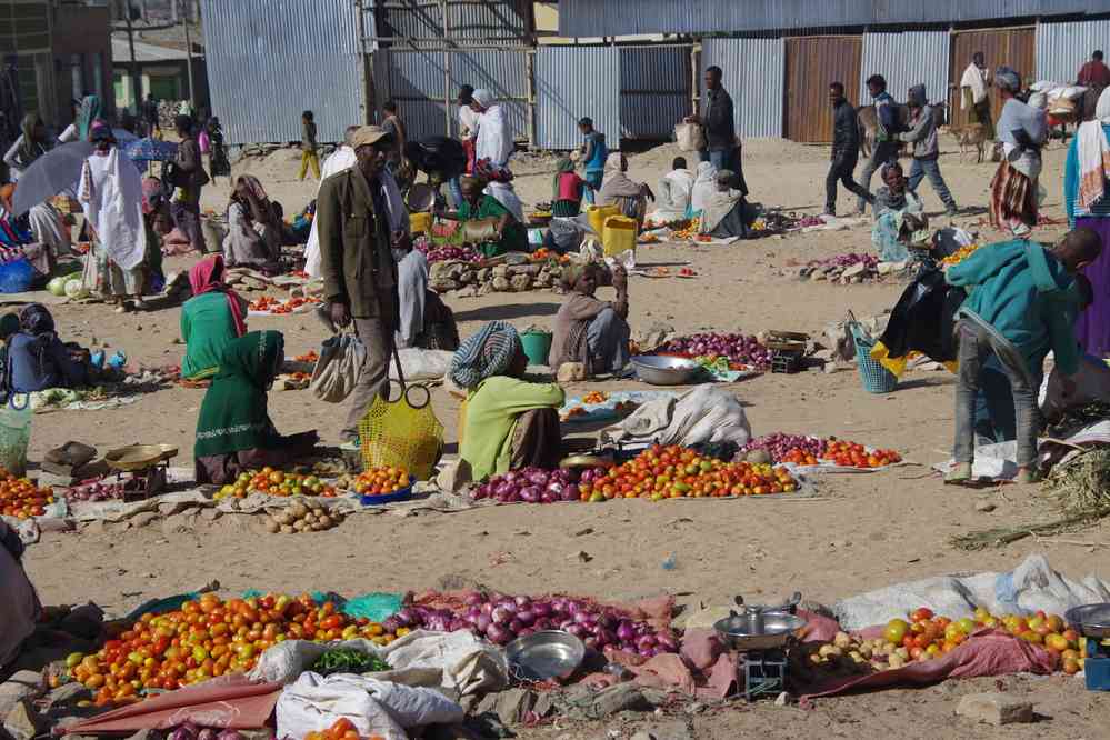 Halte au marché de Sink’at’a (ስንቃጣ) (Freweyni), le 14 janvier 2017