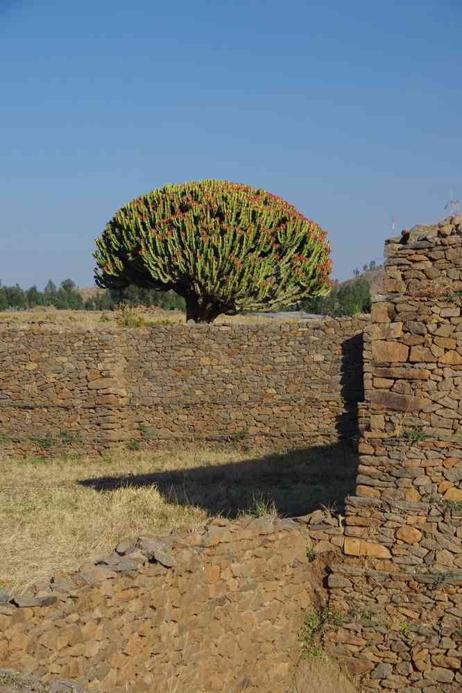 Le « palais de la reine de Saba » à Axoum (አክሱም), le 15 janvier 2017