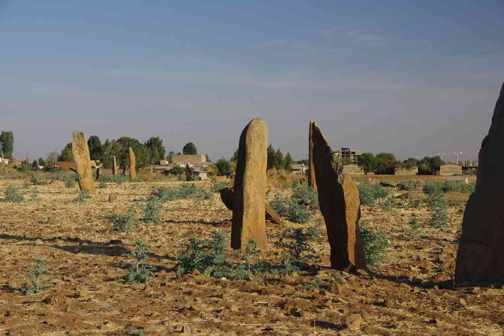 Stèles funéraires à Axoum (አክሱም), le 15 janvier 2017