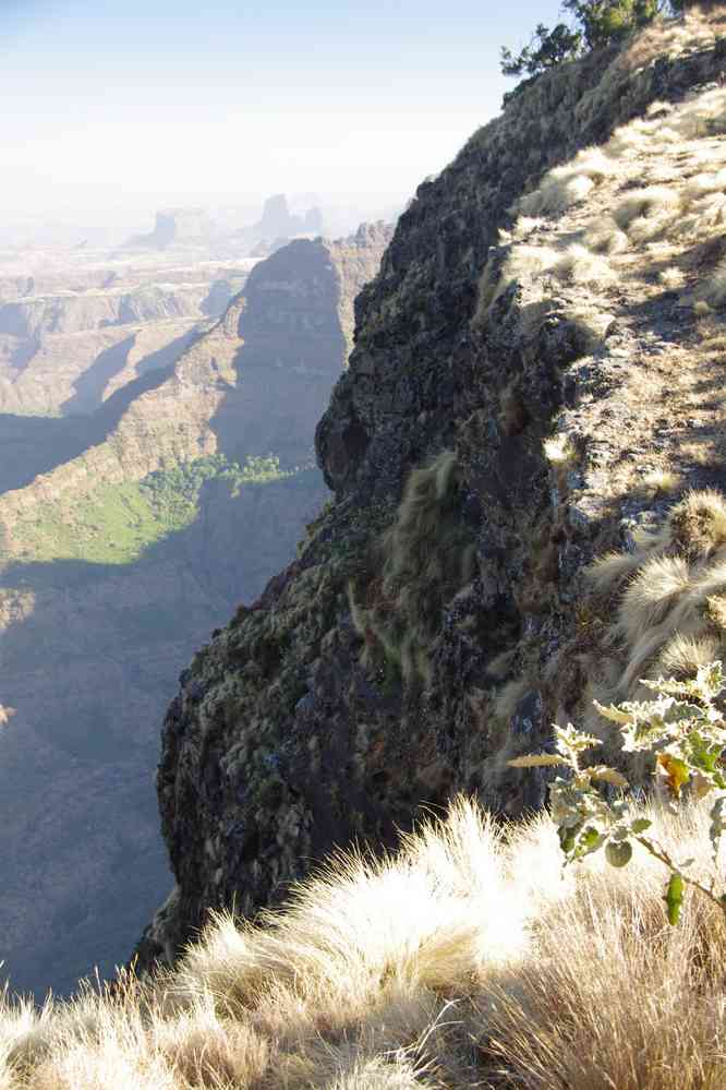 Trek dans le Simien, le 17 janvier 2017