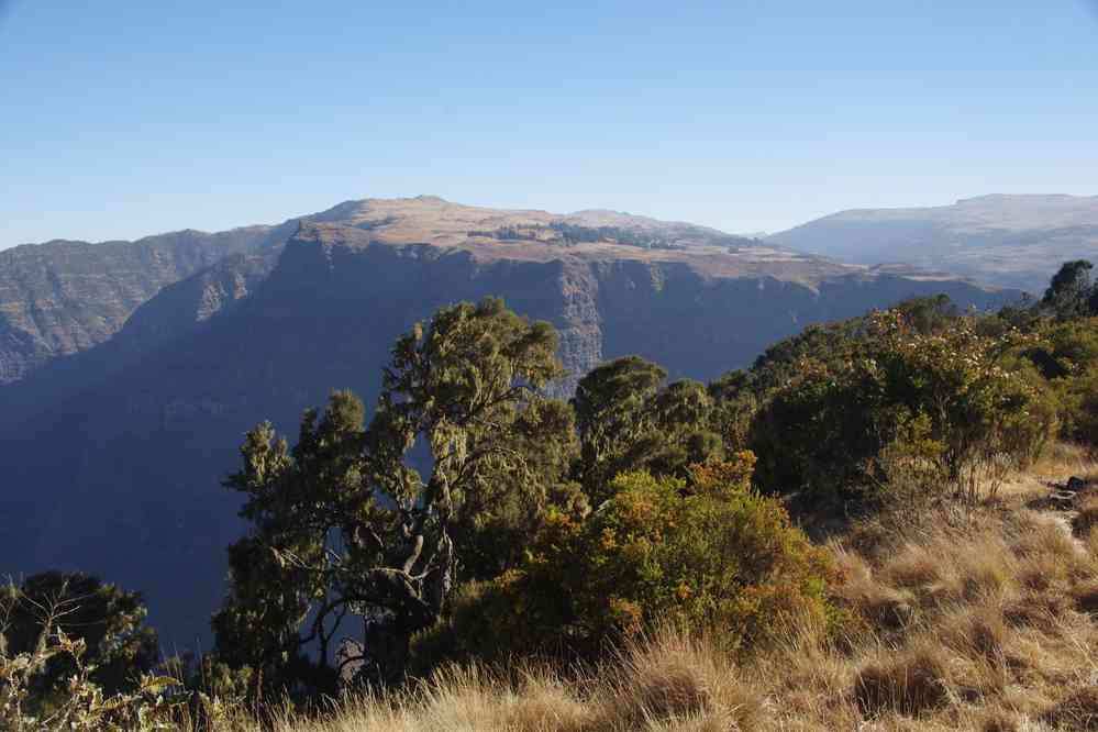 Trek dans le Simien, le 17 janvier 2017