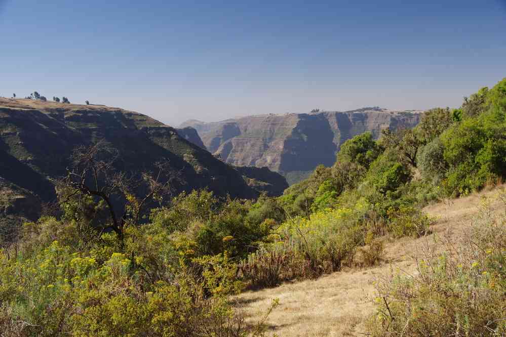 Trek dans le Simien, le 17 janvier 2017