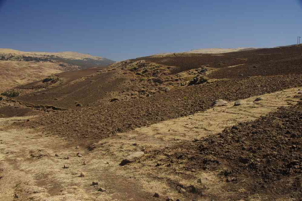 Trek dans le Simien (champs cultivés à l’intérieur du parc), le 17 janvier 2017