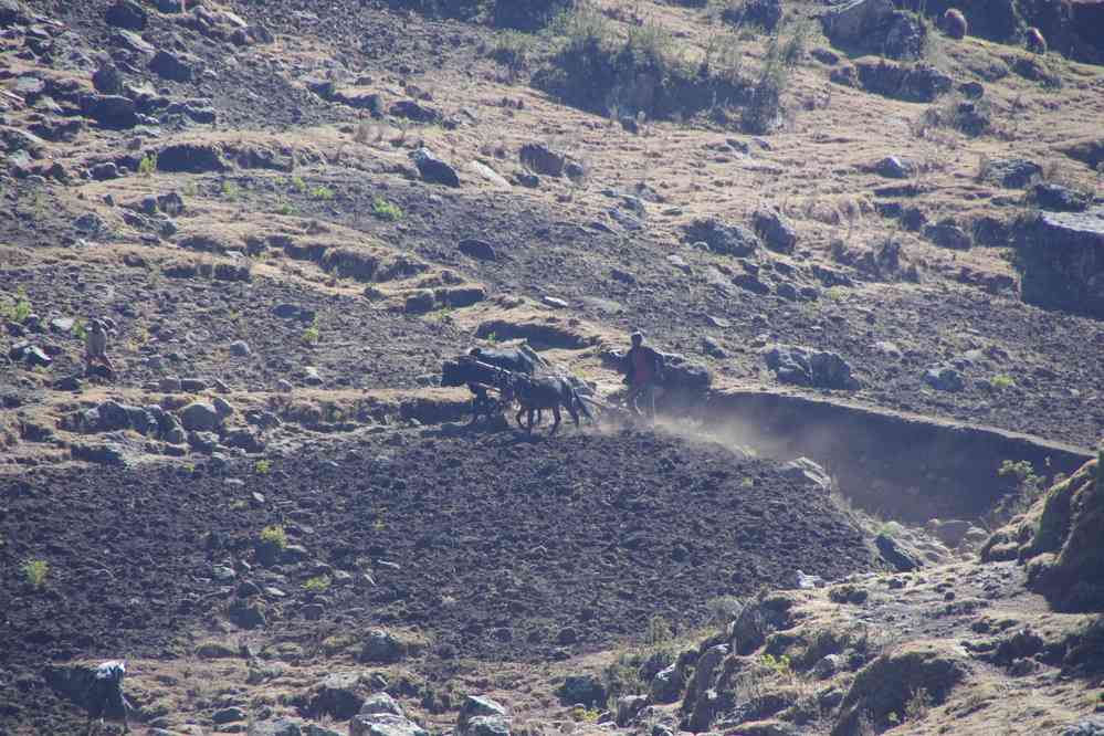 Trek dans le Simien (labours à l’intérieur du parc), le 17 janvier 2017