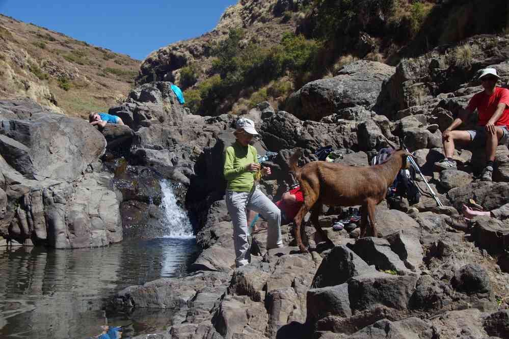 Trek dans le Simien (pique-nique, sieste et bain), le 17 janvier 2017