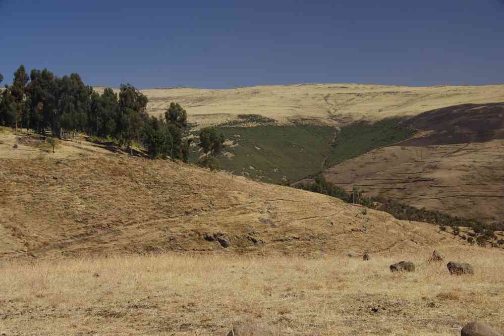 Trek dans le Simien (montée en direction du camp de Geech), le 17 janvier 2017