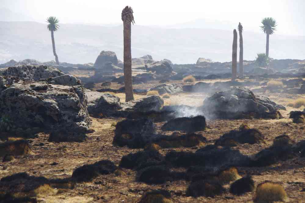 Traversée d’un feu de prairie, le 18 janvier 2017