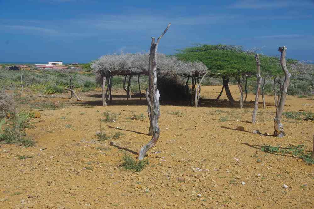 Cimetière wayuu. Les rites funéraires wayuu donnent lieu à une double inhumation ; les cabane en bois sont utilisées par les familles pour se réunir pendant les cérémonies, le 26 janvier 2018