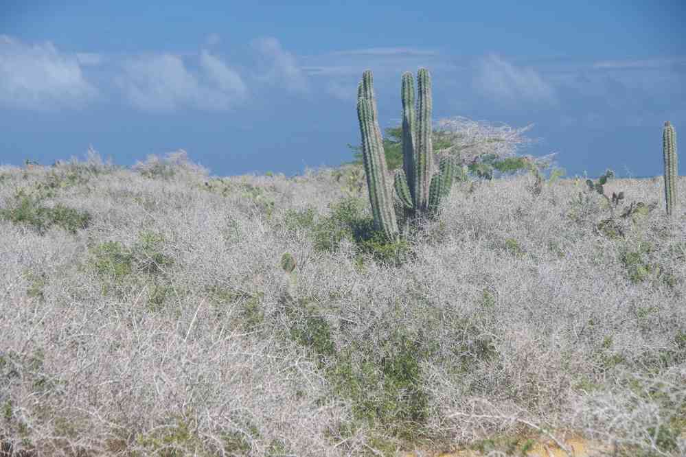 Paysage de la Guajira, le 26 janvier 2018