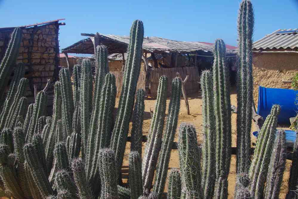 Notre gîte en famille wayuu, le 26 janvier 2018