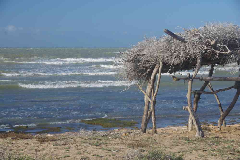 Côte près de la pointe Gallinas. On aurait pu se baigner mais on n’a pas osé, le 26 janvier 2018