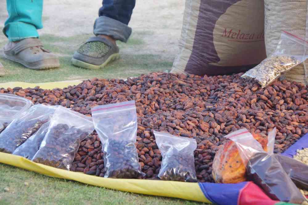 Première halte, dégustation de grains de cacao et de café, le 29 janvier 2018