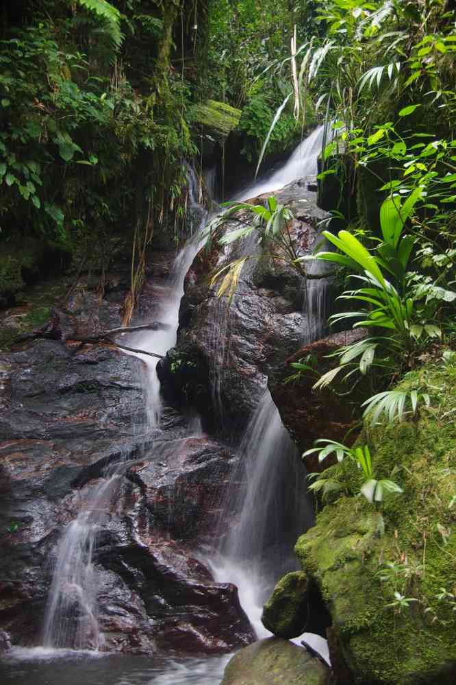 Cascade, le 31 janvier 2018