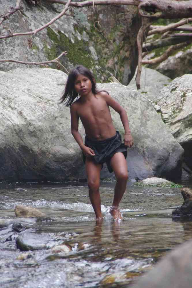 Il me fait penser au film « Un Indien dans la ville », pas vous ?, le 31 janvier 2018