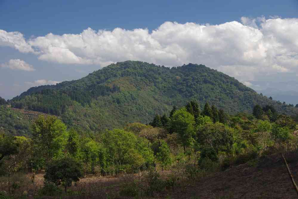 Randonnée sur les flancs du volcan Pacaya, le 11 février 2020