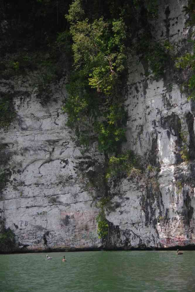 Le rio Dulce (falaises calcaires), le 19 février 2020