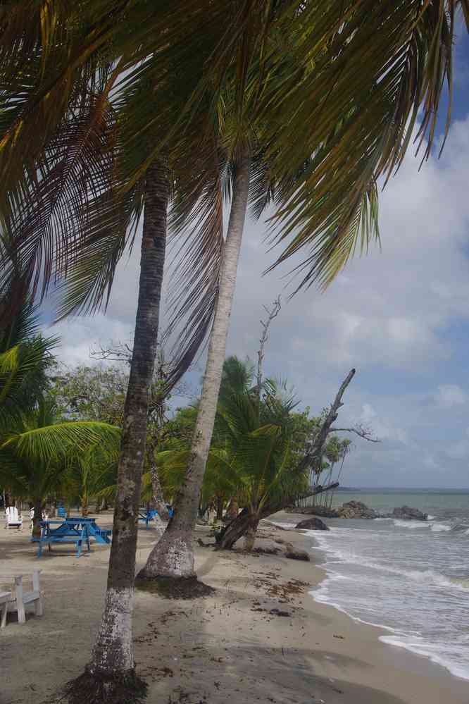 Playa Blanca, le 20 février 2020