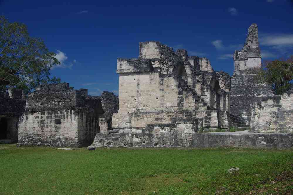 Tikal : palais royal, le 21 février 2020