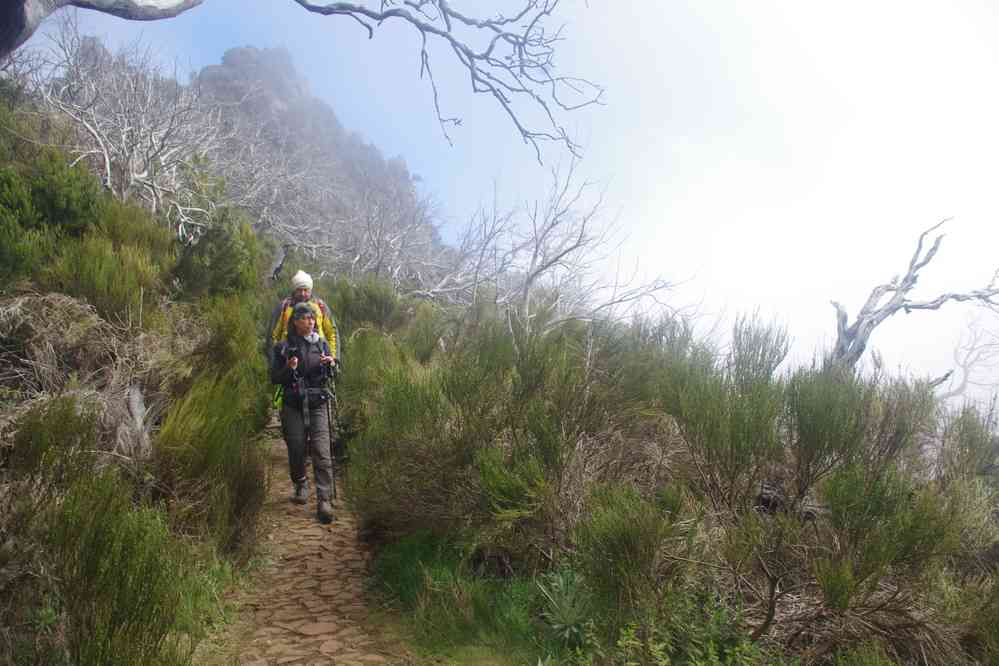 Du pico Ruivo au pico do Arieiro, le 5 mai 2022