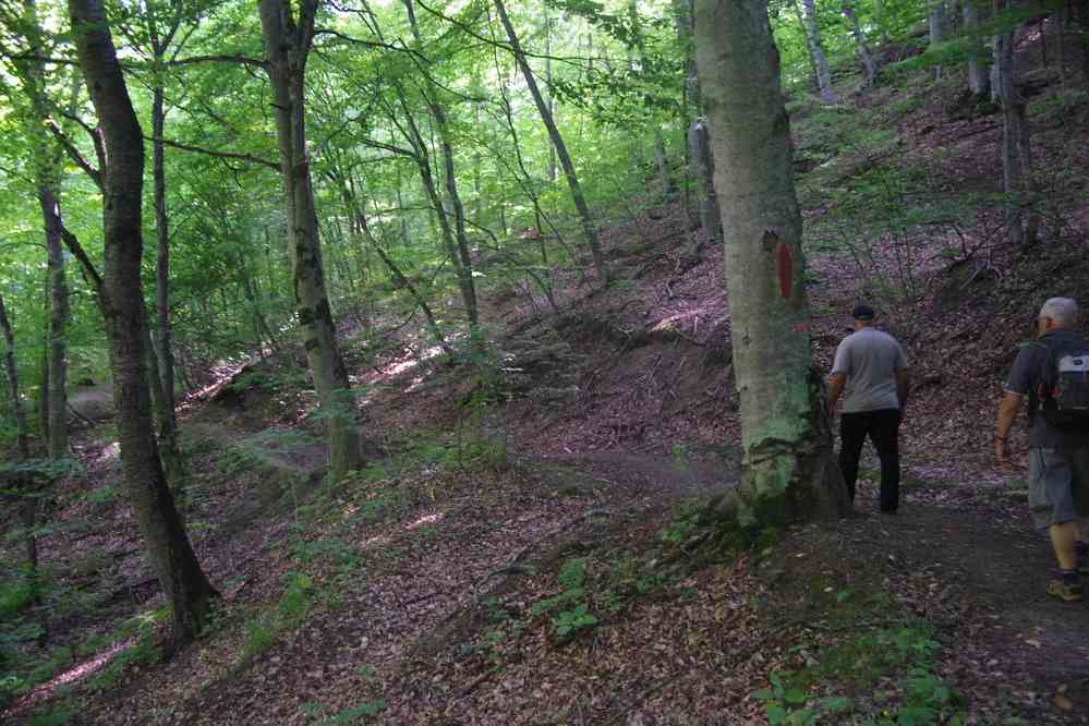 Randonnée dans le parc de Dilidjan (Դիլիջան), le 4 août 2017