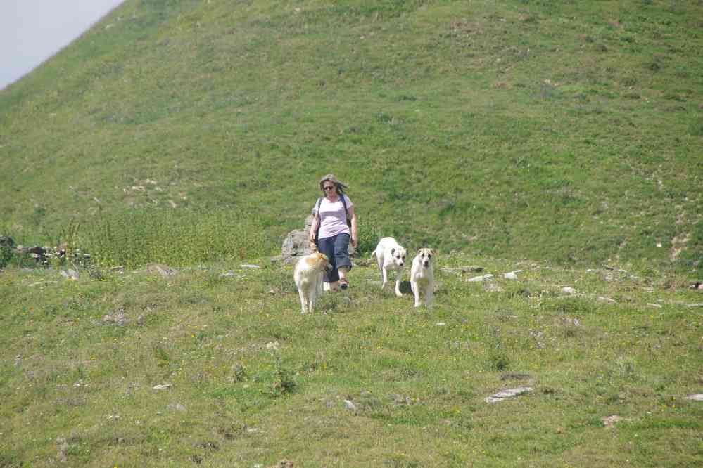 Clairement dans cette balade, ceux qui aiment les chiens sont favorisés, le 9 août 2017