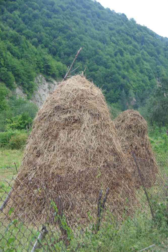 Vallée de Khada, le 9 août 2017