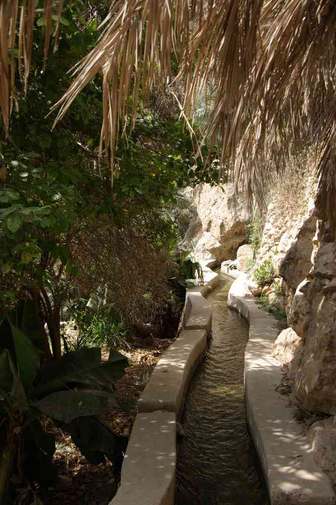 Falaj dans la vallée de Tiwi, le 27 mars 2012