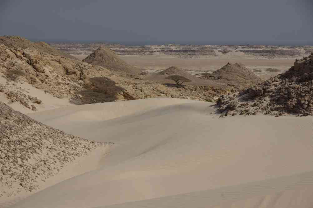 Randonnée dans les dunes de sucre, le 1ᵉʳ avril 2012