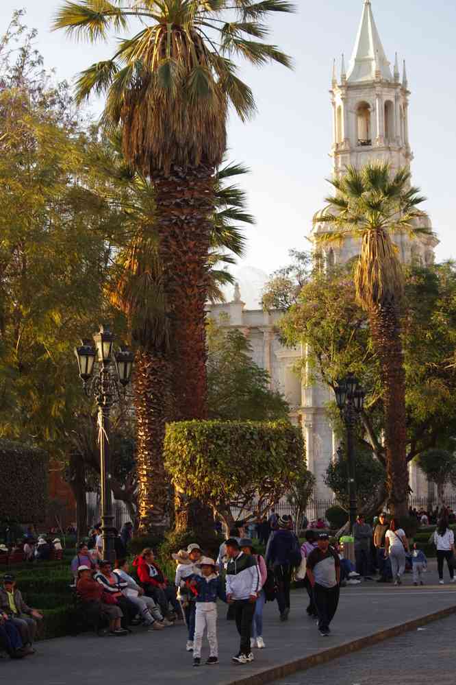 Arequipa, cathédrale, le 4 août 2024