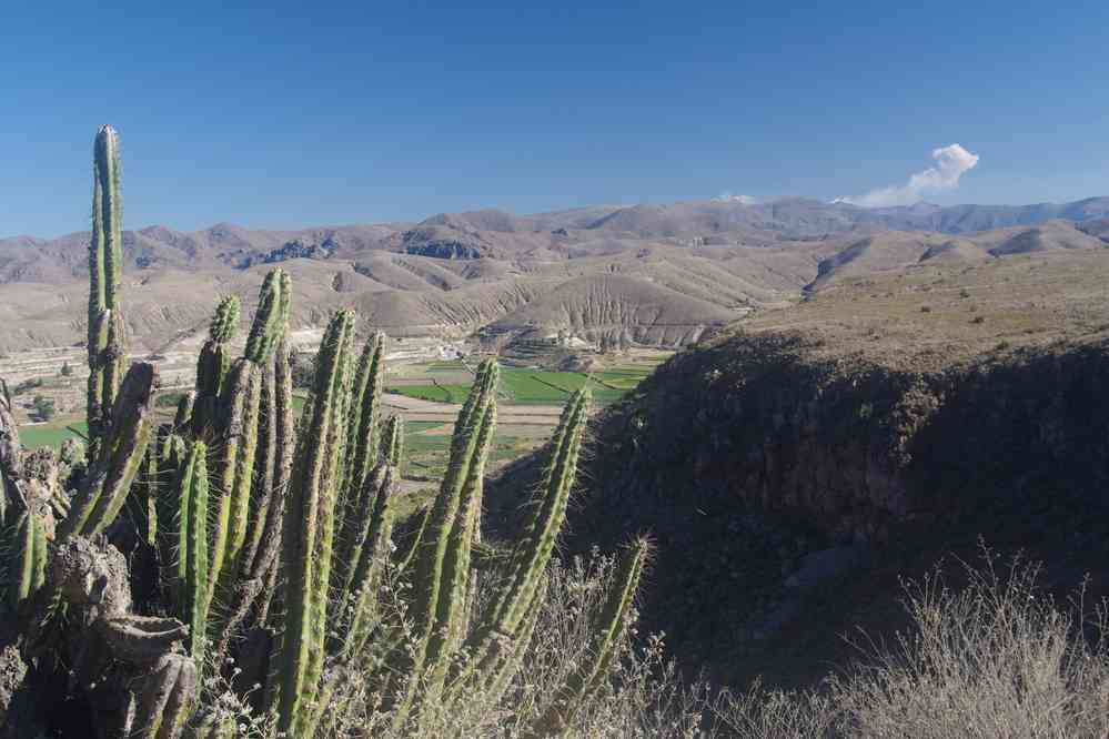 Route entre Arequipa et Chivay. À gauche les volcans Ampato (6288 m) et Hualca Hualca (6025 m). Le panache volcanique provient du Sabancaya (5967 m), le 5 août 2024
