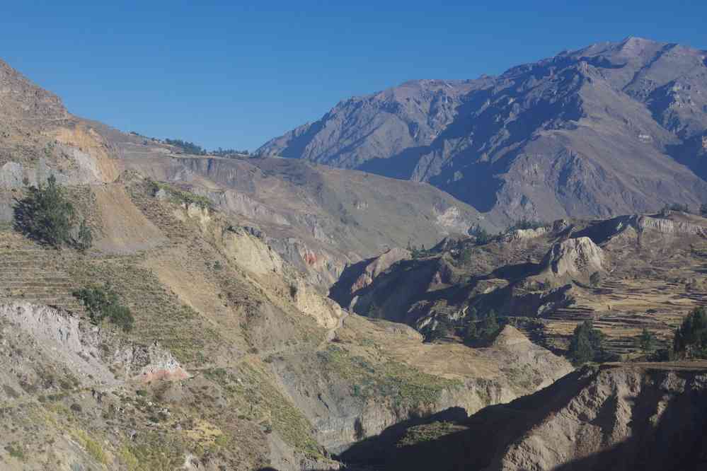 Le cañon de Colca photographié depuis le mirador Antahuilque, le 6 août 2024