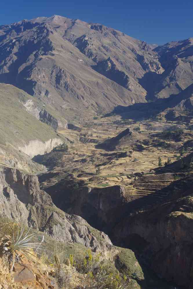 Le cañon de Colca photographié depuis le mirador Antahuilque, le 6 août 2024