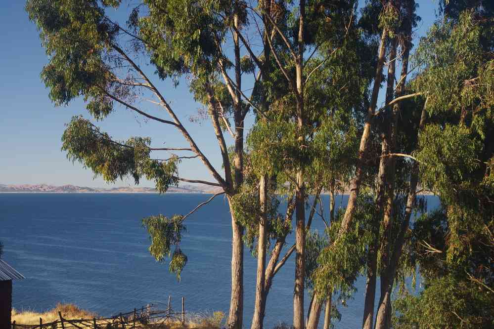 Lac Titicaca, au petit matin depuis notre gîte sur la péninsule de Llachón, le 8 août 2024