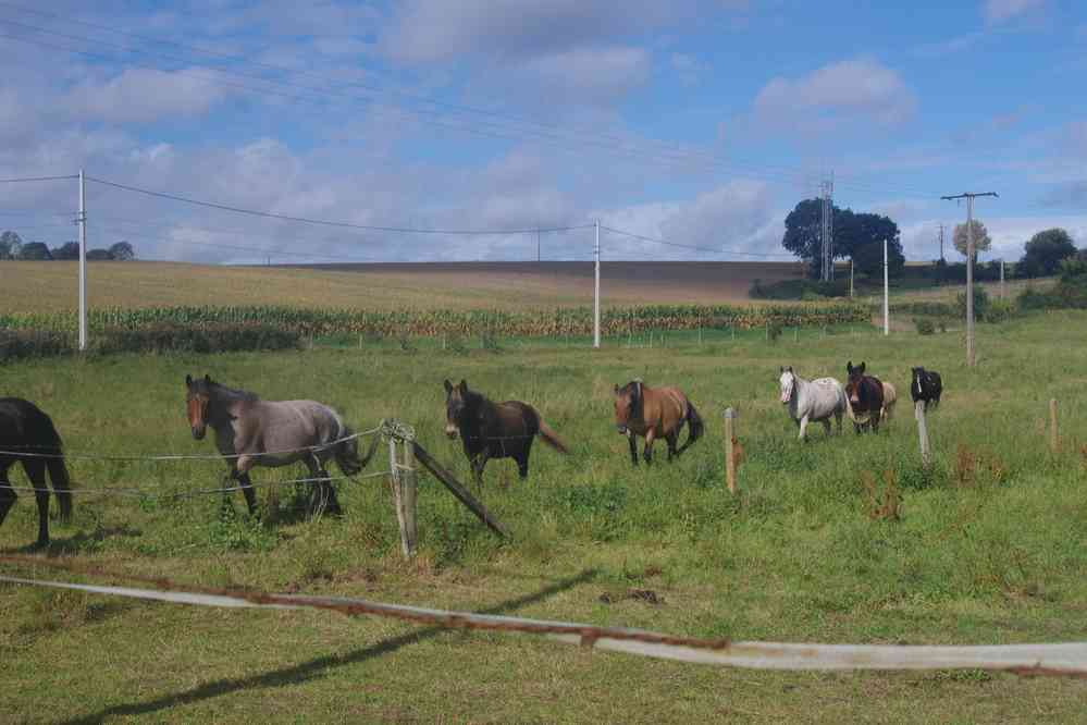 Entre Naours et Wargnies. Le samedi 13 septembre 2025
